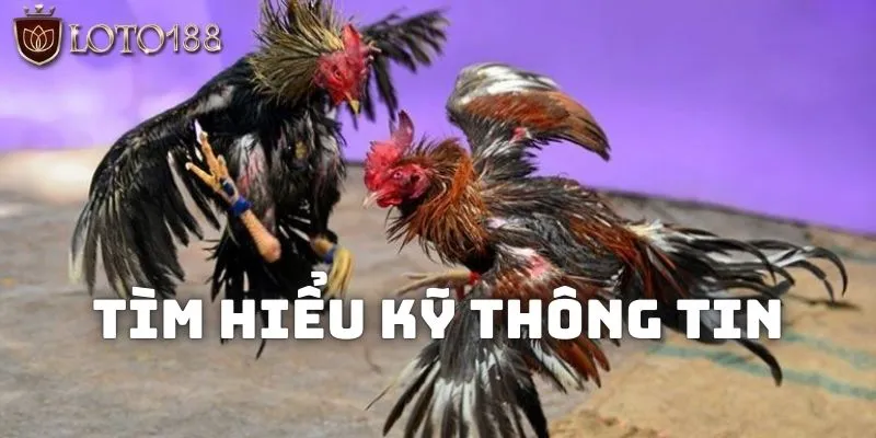 Chất lượng hình ảnh sắc nét, mang đến trải nghiệm chân thực cho người chơi